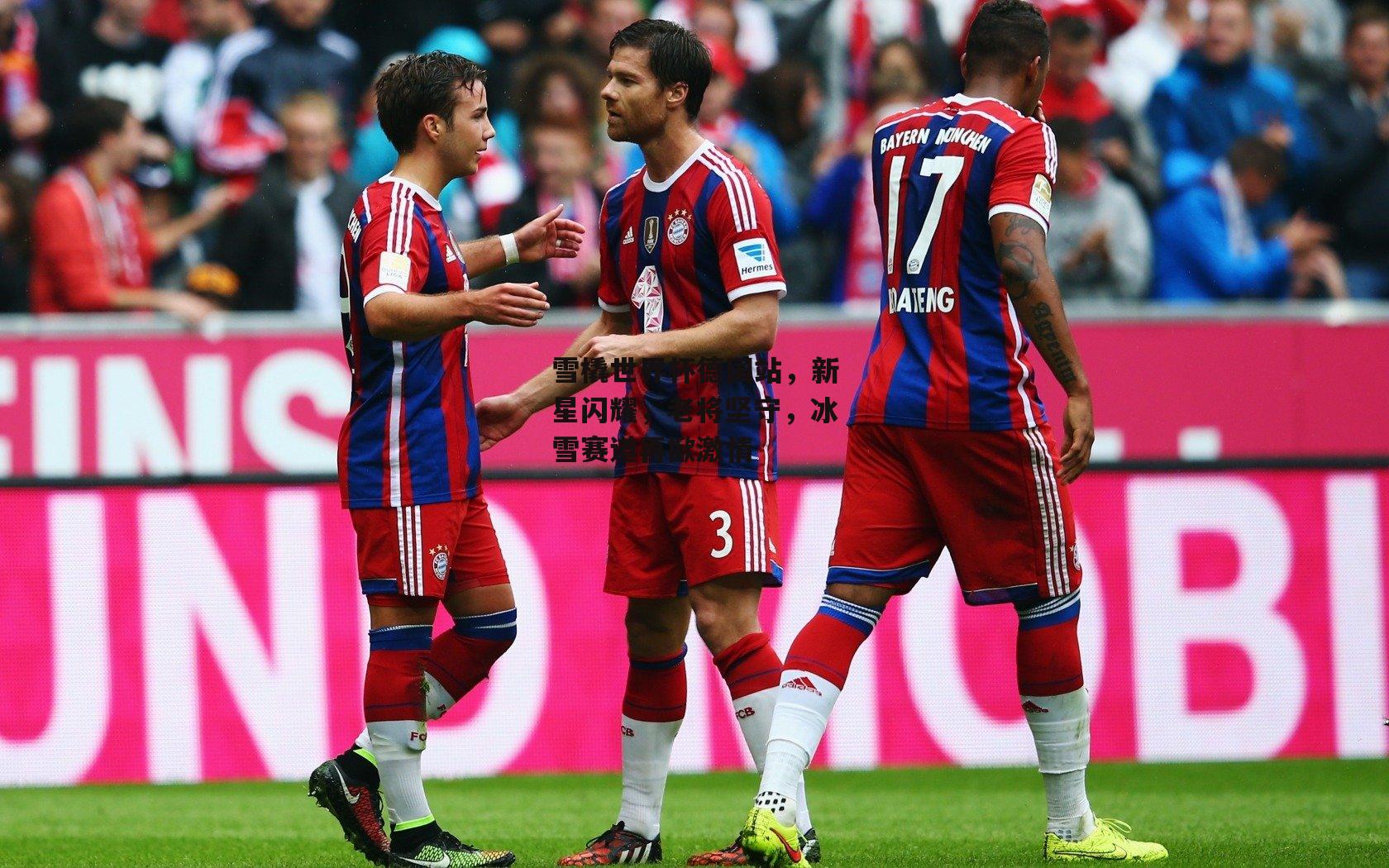 雪橇世界杯德国站，新星闪耀，老将坚守，冰雪赛道再掀激情