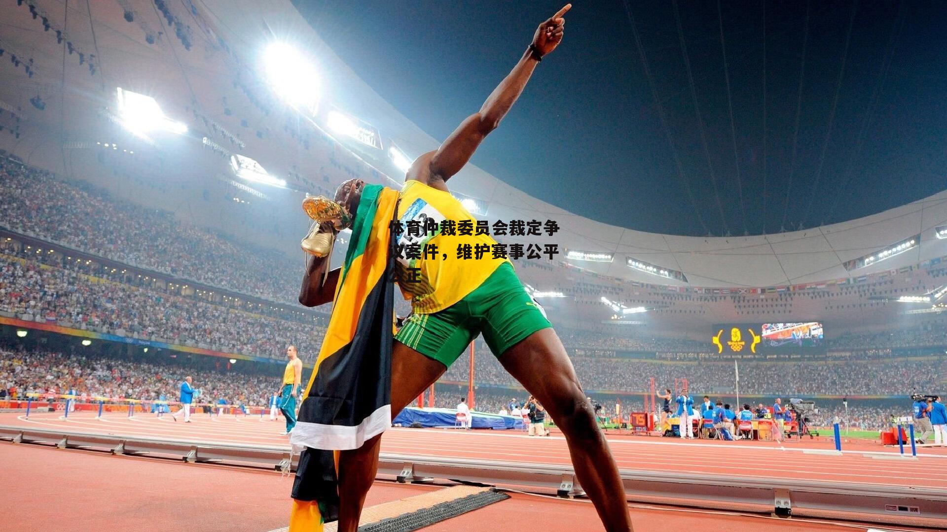 体育仲裁委员会裁定争议案件,维护赛事公平公正