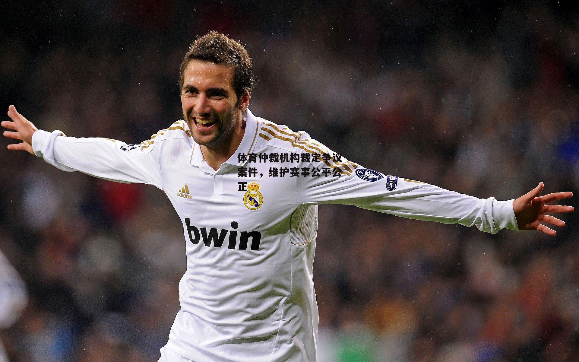 体育仲裁机构裁定争议案件，维护赛事公平公正