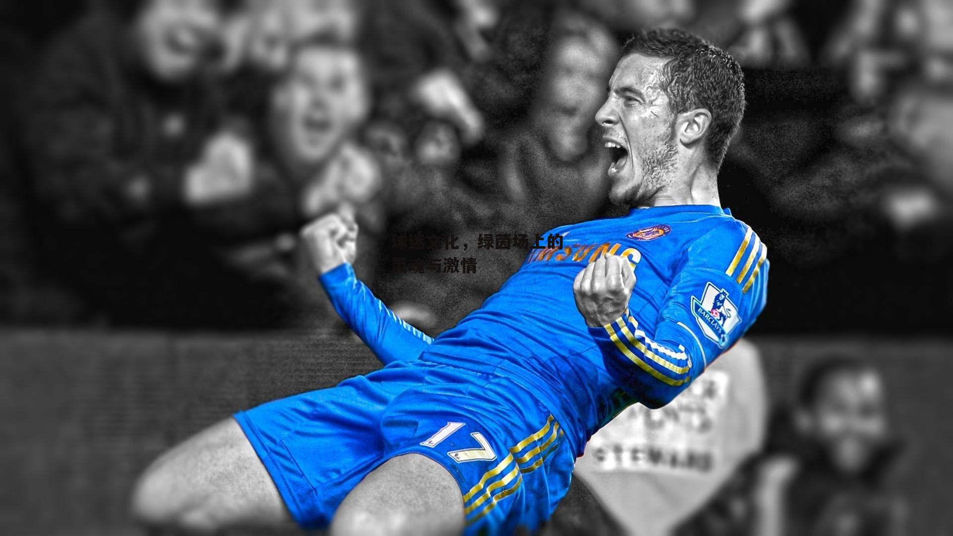 球迷文化,绿茵场上的灵魂与激情